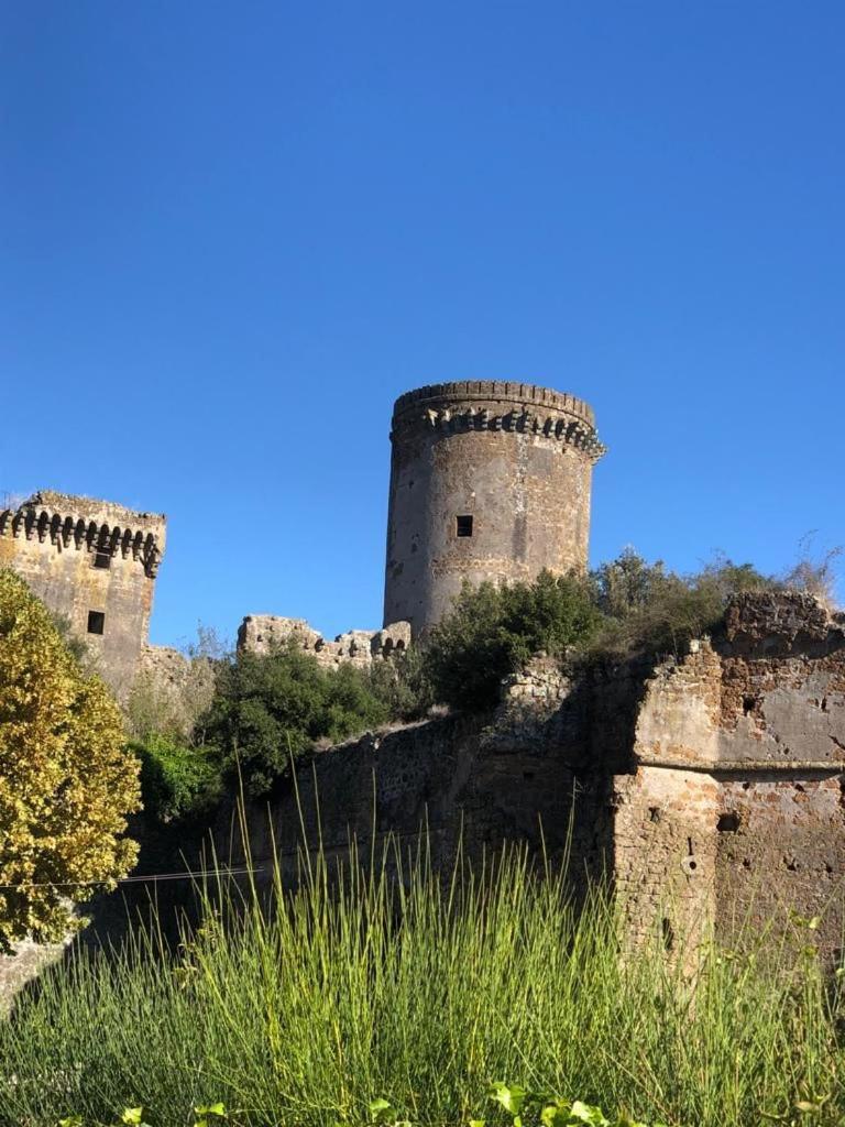 Casuale House Apartment Castel Sant'Elia Екстериор снимка